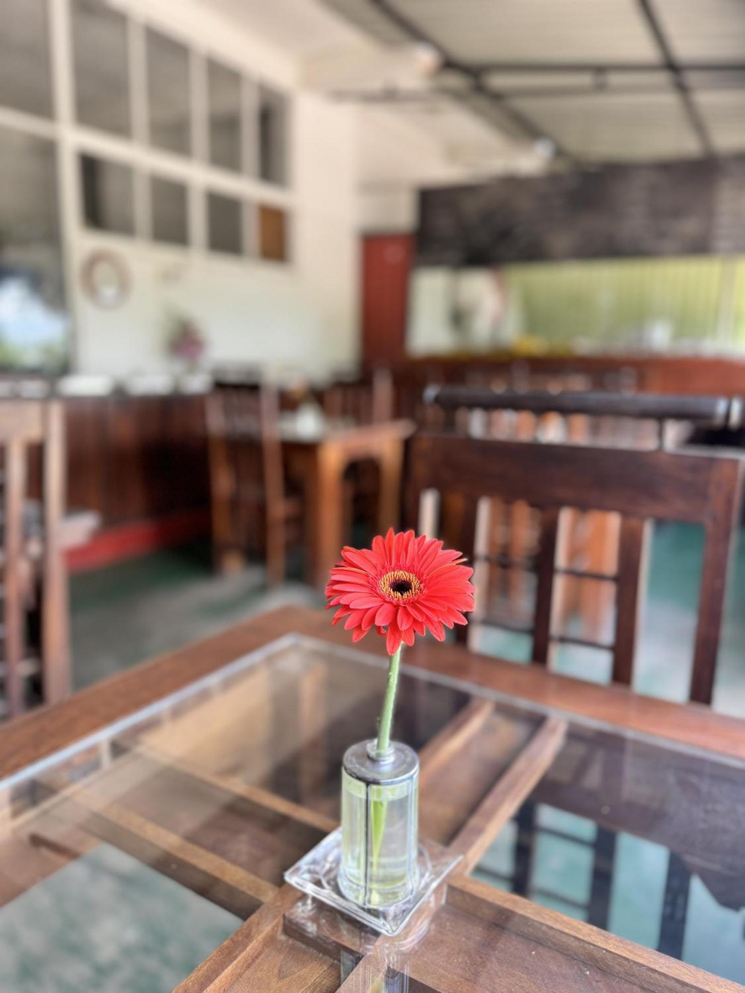 Ella Nature Life Guest & Restaurant -Free Pickup From Ella Buitenkant foto